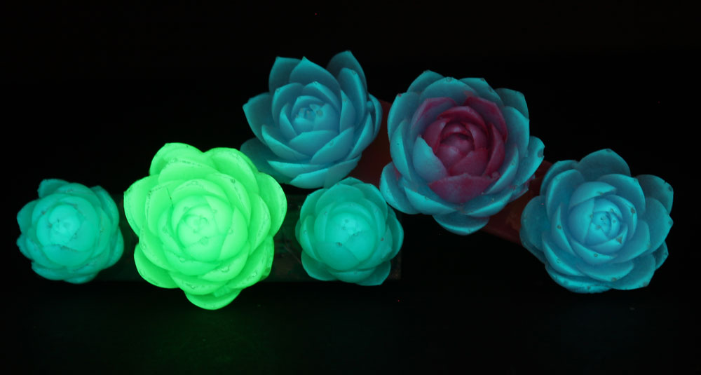 jewellery_barets_glow